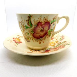 J & G Meakin cup and saucer, Century design
