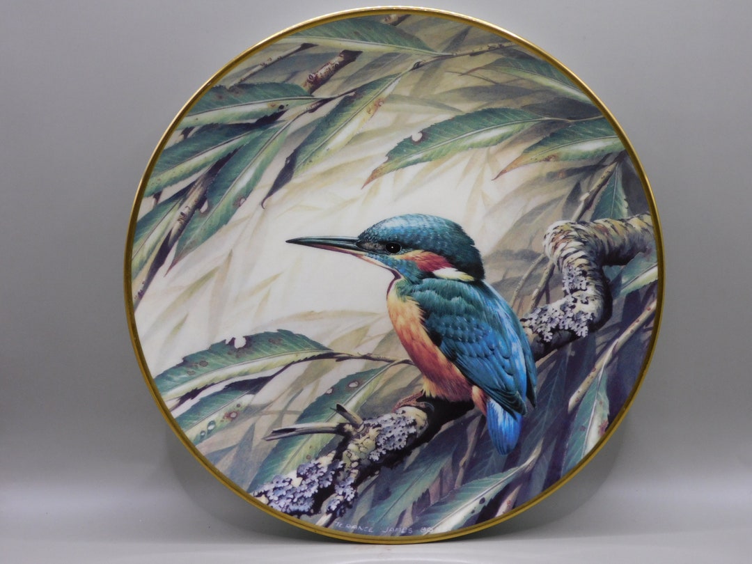 Wedgwood Kingfisher Plate RSPB Centenary Collection Bird Etsy UK