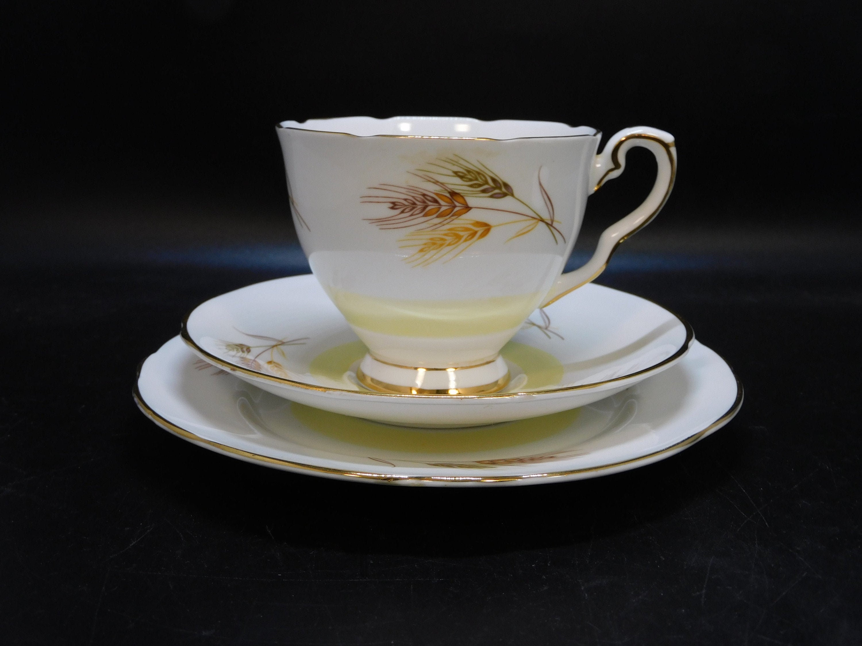 Royal Stafford Trio Tea Cup Saucer Side Plate 1950s Pattern Etsy