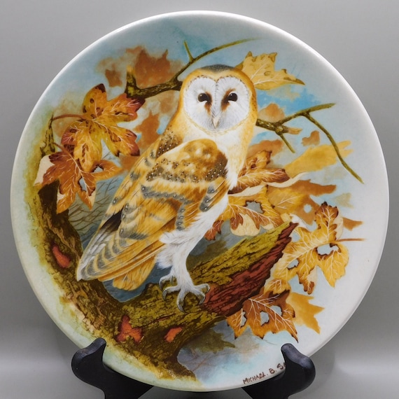 Barn Owl, Coalport Bone China Collectors Plates, From the Wise Owl