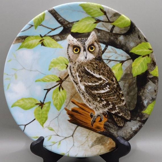 マイケル・ソーディ作「賢いフクロウ」シリーズのコノハズク、コール