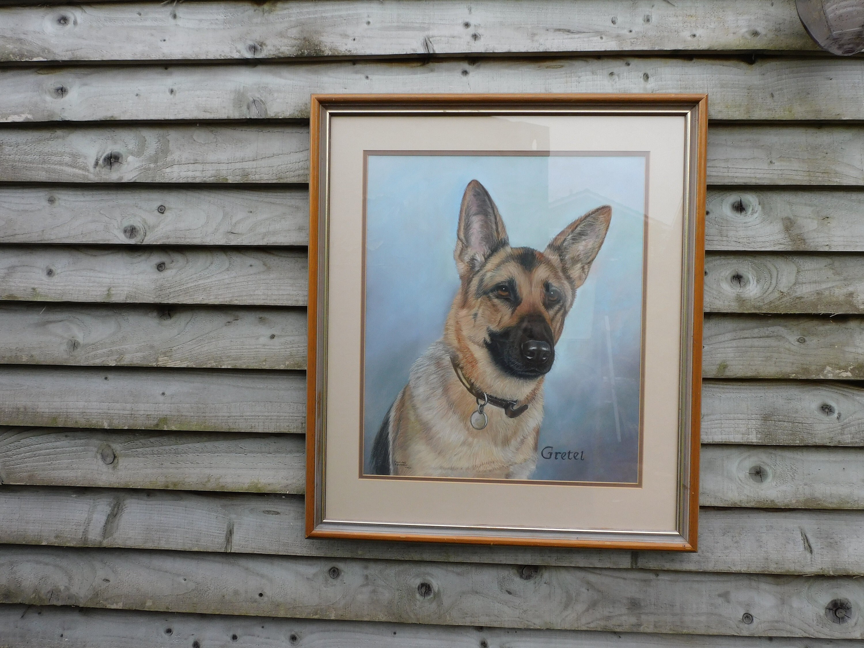 オリジナルの手描きのアルザス、ジャーマンシェパードの肖像画、1992年