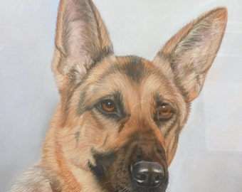 オリジナルの手描きのアルザス、ジャーマンシェパードの肖像画、1992年