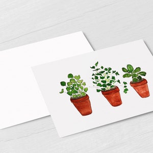Herbes dans pots A5 Carte postale