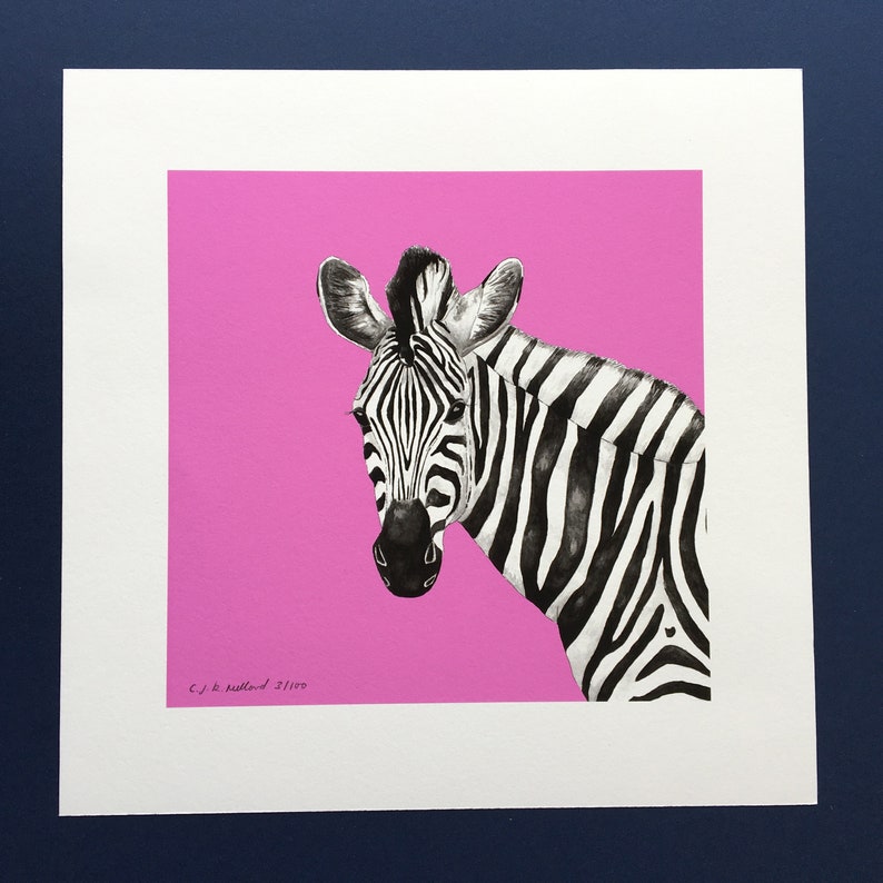 Zebra Illustration Print Pink Zebra Wall Art Zebra Drawing Etsy