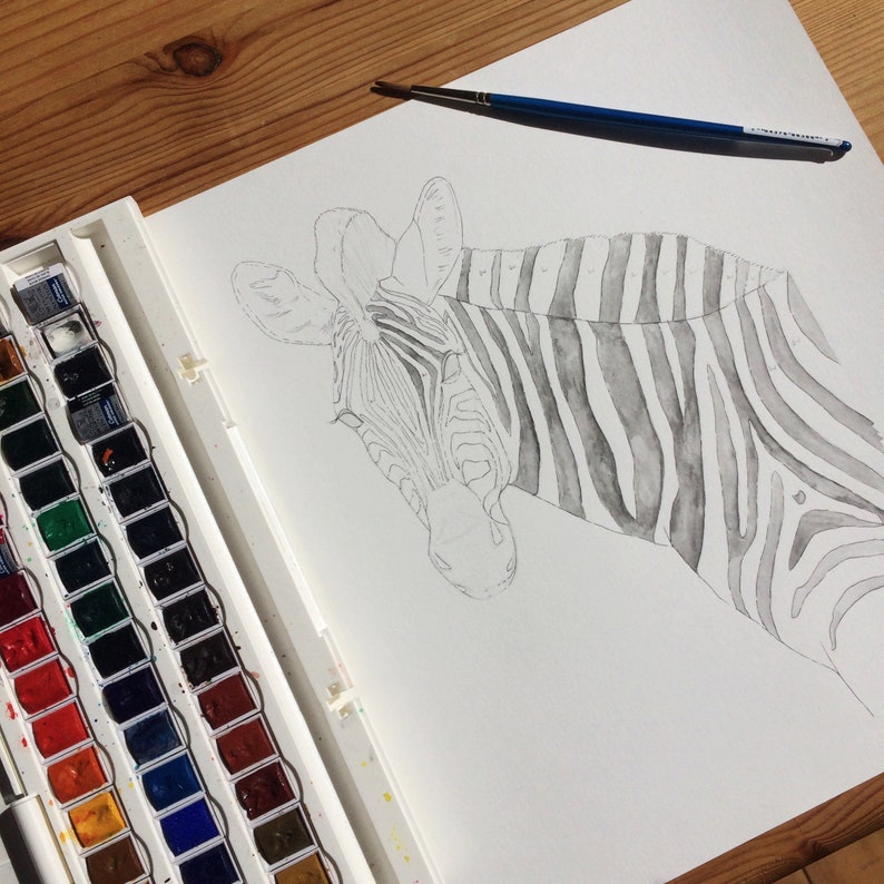 Zebra Illustration Print Pink Zebra Wall Art Zebra Drawing Etsy