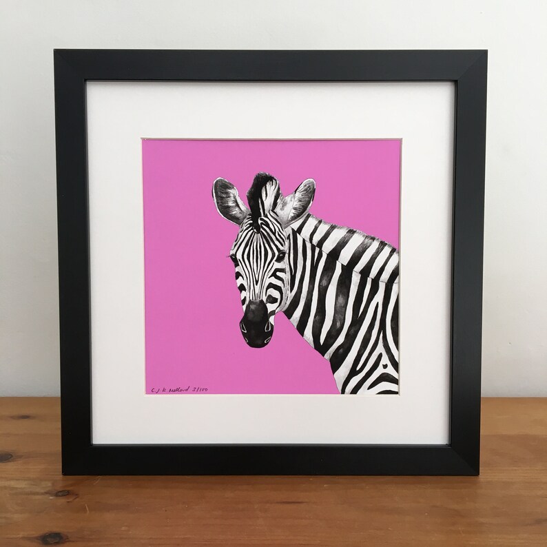 Zebra Illustration Print Pink Zebra Wall Art Zebra Drawing Etsy