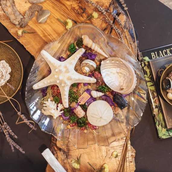 OCEAN ALTAR OFFERINGS: Sea Witch Altar Decor