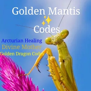 Golden Mantis Codes, Arcturian Healing Codes, Divine Light Mother Codes, Golden Dragon Codes