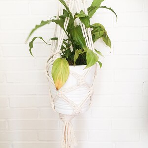 Puede incluir: Un macetero de macramé blanco con una maceta blanca y una planta verde colgando de él. El macetero está colgado de una pared de ladrillo blanco.
