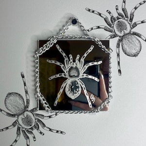 May include: Square mirror with a chain border, featuring a detailed etched spider design. Two additional spider illustrations are on the white background. The mirror is hung with a chain and a small black tack.