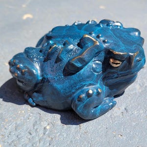 Garden Toad: Ocean Toad edition 5/50