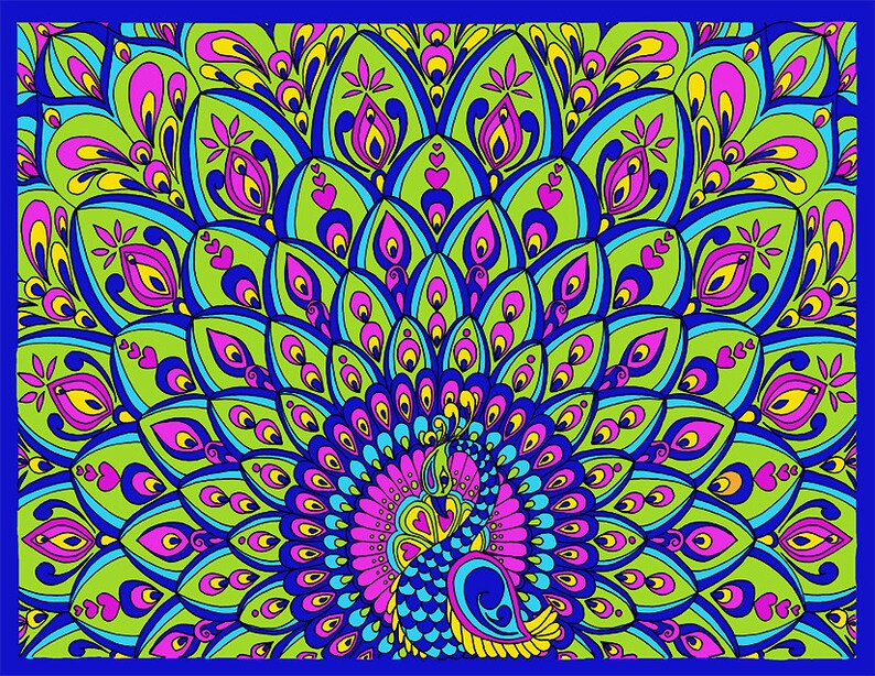 Download Peacock Coloring Page Bird Animal Coloring Detailed and | Etsy