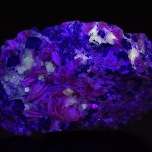 K&ouml;nnte beinhalten: Nahaufnahme eines Mineralproben mit einem Farbschema in Lila, Rosa und Wei&szlig;. Die Probe wird mit UV-Licht beleuchtet, wodurch sie fluoresziert.