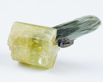 Apatit Mineral: Roh mit Aktinolith Einschlüssen - Marokko