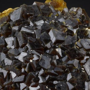 Andradit granatkluster, topazolit med hedenbergit (Stanley Butte, Arizona)