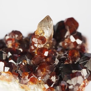 Pode incluir: Close-up de um aglomerado de cristais de granada vermelha escura e castanha. Um cristal de quartzo transparente está centrado, rodeado pela granada. Os cristais têm uma forma geométrica facetada, com uma base rugosa e texturizada.