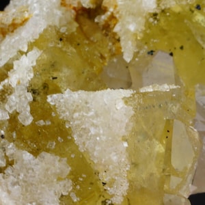 May include: A close-up of a yellow fluorite crystal cluster with white quartz crystals. The fluorite crystals are translucent and have a glassy lustre. The quartz crystals are clear and have a sharp, pointed shape.