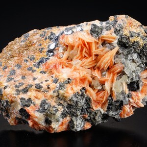 K&ouml;nnte beinhalten: Ein Cluster aus orange-roten Baryt-Kristallen auf einer dunkelgrauen Matrix. Die Kristalle sind scharf und gut definiert, mit einem seidigen Glanz. Die Matrix ist mit kleinen, schwarzen Kristallen bedeckt.