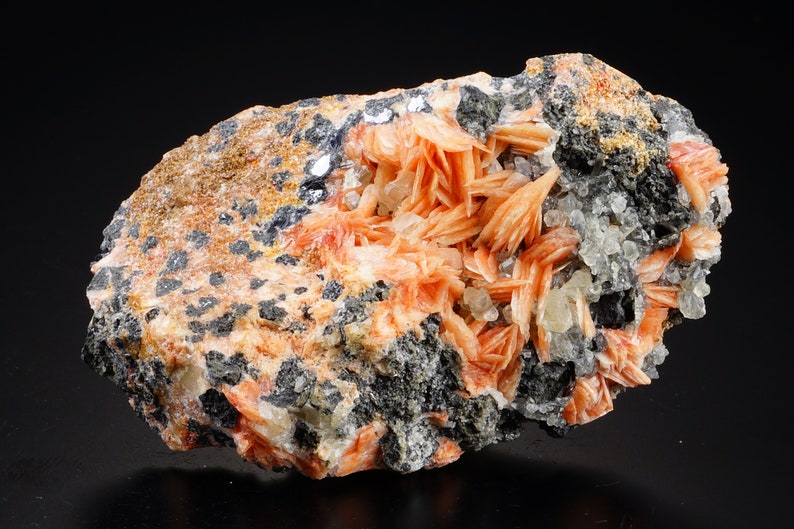 K&ouml;nnte beinhalten: Ein Cluster aus orange-roten Baryt-Kristallen auf einer dunkelgrauen Matrix. Die Kristalle sind scharf und gut definiert, mit einem seidigen Glanz. Die Matrix ist mit kleinen, schwarzen Kristallen bedeckt.