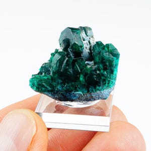 Peut inclure: Un amas de cristaux de dioptase vert émeraude profond avec un éclat vitreux, présentant des formations géométriques prismatiques nettes. Le spécimen minéral est solidement monté sur une base de présentation carrée en acrylique transparent.