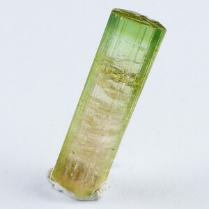 Può includere: Cristallo traslucido e allungato con sfumatura di colore. La parte superiore è verde brillante, che sfuma in giallo pallido e termina con una base marrone chiaro. Il cristallo è inclinato su uno sfondo bianco. Campione minerale.