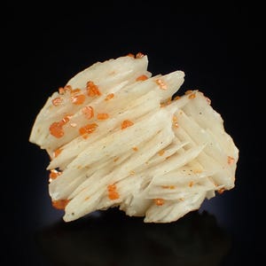 Könnte beinhalten: Nahaufnahme einer Mineralprobe mit geschichteten, cremefarbenen Kristallen. Kleine, orangefarbene Kristalle sind über die Oberfläche verstreut und bilden einen auffälligen Kontrast. Das Mineral befindet sich vor einem schwarzen Hintergrund.
