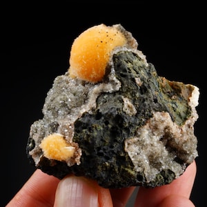 May include: A cluster of orange and white mineral formations on a dark gray rock. The mineral formations are round and have a rough texture.
