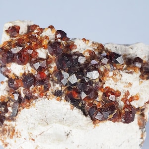 Può includere: Primo piano di un campione minerale con cristalli di granato rosso scuro e marrone. I cristalli hanno una forma geometrica sfaccettata e sono incastonati in una matrice chiara e ruvida. L'immagine evidenzia la formazione geologica naturale.
