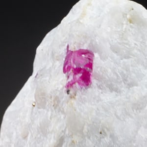 May include: A small, bright pink ruby crystal embedded in a white rock. The ruby is a deep, vibrant pink and has a slightly rough texture. The rock is smooth and white.