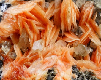 Mineral de cerusita y barita, cristal reactivo a los rayos UV (Mibladen Marruecos 81g)