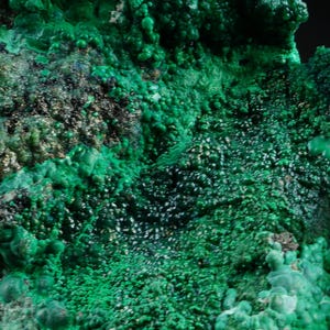 May include: Detailed image of a malachite mineral, showcasing a rich green hue. The surface displays a textured pattern with rounded and crystalline structures. The colour varies from dark emerald to lighter greens.