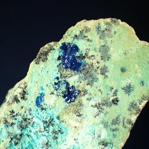 May include: A close-up of a mineral specimen featuring a light green surface with dark gray and black patterns. Deep blue crystalline formations are scattered across the surface. The background is a dark blue.