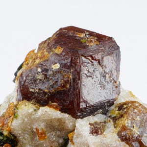 Può includere: Primo piano di un campione di minerale cristallino rosso scuro. Il cristallo principale ha una forma geometrica ben definita con una superficie lucida. Si trova su una matrice di roccia più chiara e ruvida con sfumature di arancione e verde.