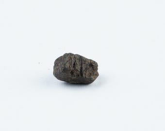 May include: A small, dark gray, irregularly shaped rock with a rough, textured surface.