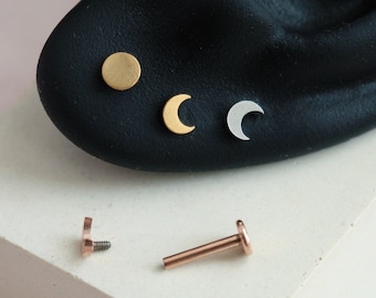 Schmetterling Septum Ring 16G - Schwarz 316L Stahl Piercing