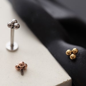16 g titanium trinity-oorbel met inwendig schroefdraad en platte achterkant • Omkeerbare tragusknop • Ronde schelpoorbel, hypoallergeen voor gevoelige oren