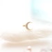Crescent Moon Threadless Pushpin Labret, moon cartilage earring, dainty tragus, conch piercing, gold moon stud earring, sparkly screwback 