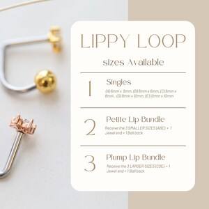 Pu&ograve; includere: Immagine di gioielli per labbra con una sfera dorata e un'estremit&agrave; gioiello. Il testo recita "Lippy Loop" ed elenca le dimensioni disponibili e le opzioni del pacchetto. I gioielli sono mostrati in primo piano.