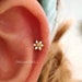 see more listings in the Piercings (16g/18g/20g) section