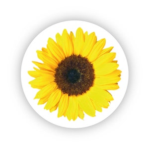 Pack of 24, 72 ,240  Sunflower paper labels, Sunflower Adhesive Stickers Colourful Decorative Stickers for Crafts, Wedding, Party Favours