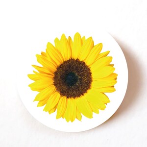 Lot de 24, 72, 240 étiquettes en papier tournesol, autocollants adhésifs tournesol, autocollants décoratifs colorés pour travaux manuels, mariage, cadeaux