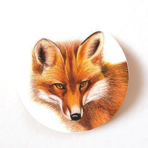 Pak met 24, 72 en 240 Fox-stickers, papieren etiketten, knutselstickers