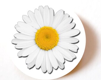 Pack of 24 , 72, 240 Daisy paper labels, Daisy Flower Adhesive Stickers Colourful Decorative Stickers for Crafts, Wedding, Party Favours