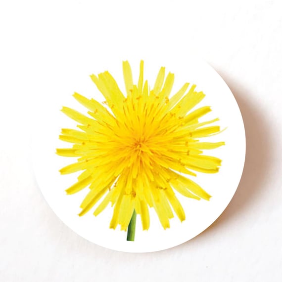 Pack of 24, 72 or 240 Yellow Dandelion stickers, paper labels, crafts stickers