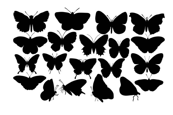 Butterfly Clipart Black And White 2 Nice Clip Art