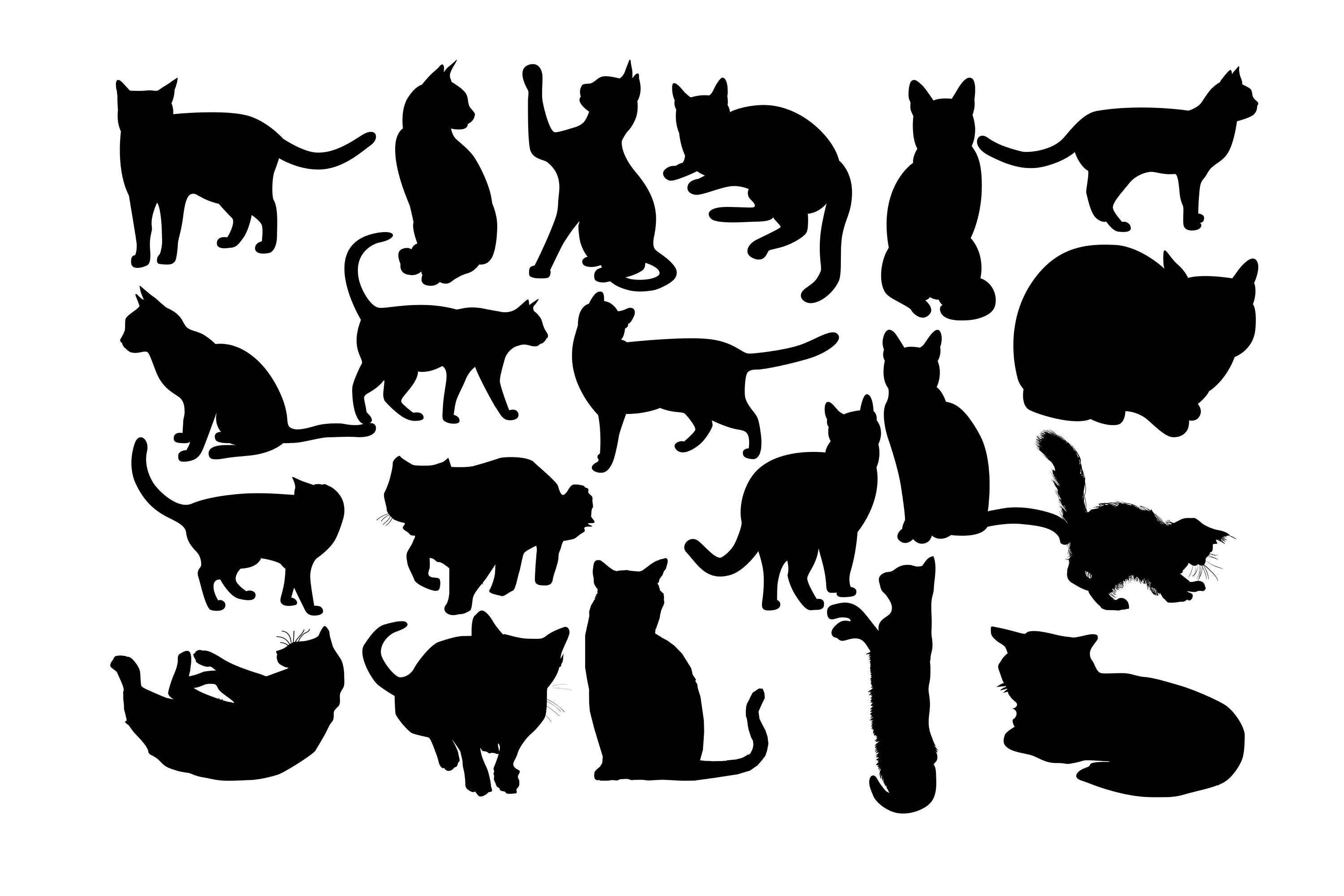 Chat Silhouette chat Clipart Kitty Silhouette Animal | Etsy