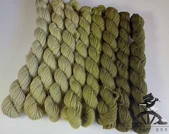 Mid Olive Green Set of Appletons Wool Hanks Range No. 340 (341- 348) Crewel 2ply or Tapestry 4ply yarn