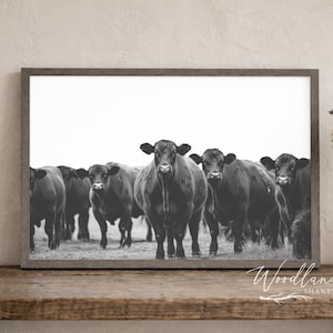May include: Monochrome framed print depicting a group of black cows. The artwork is presented on a wooden table, with a vase of lavender and books. The print has a neutral colour palette.
