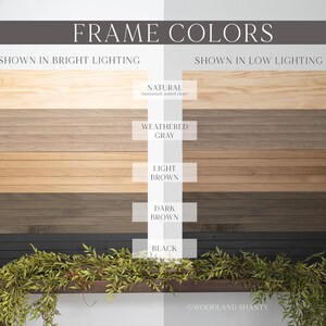 May include: Image showcasing frame color options, including Natural, Weathered Gray, Light Brown, Dark Brown, and Black. The text "FRAME COLORS" is at the top. The colors are shown in bright and low lighting conditions. A decorative green plant is at the bottom.